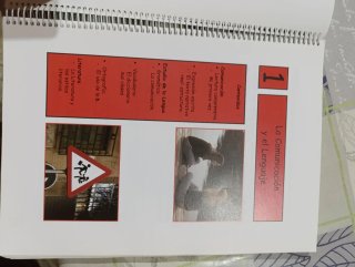 Lengua