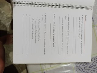 Lengua