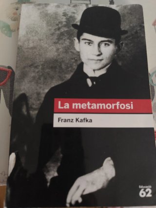 Lote de libros de lectura