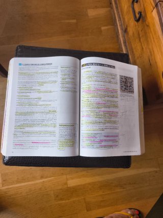 Lengua castellana y literatura 1 Bachillerato