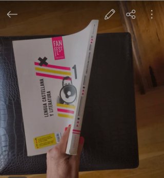 Lengua castellana y literatura 1 Bachillerato