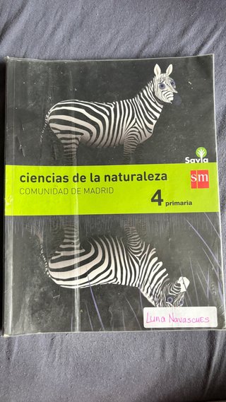 Lote de libros 4 de primaria SM