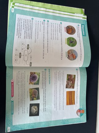 Ciencias de la naturaleza. 3 Primaria. Revuela....