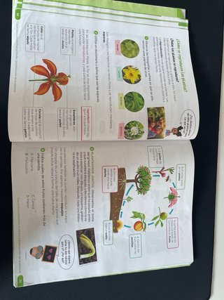 Ciencias de la naturaleza. 3 Primaria. Revuela....
