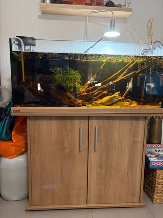 Acuario Eheim 180L