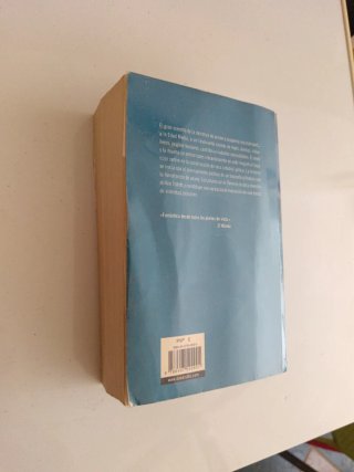 Los pilares de la tierra