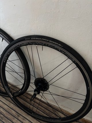 Ruedas Campagnolo Zonda