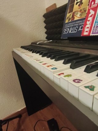 Piano Digital Casio Privia