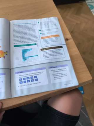 Les Blogueurs 1 Libro y Cuaderno Francés