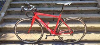 Focus Izalco RACE Talla S