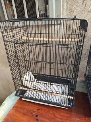Jaula para pájaros medianos, agapornis, loros