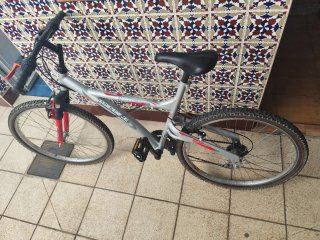Bicicleta TOPBIKE Hobby 100 SXY