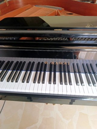 Piano de cola