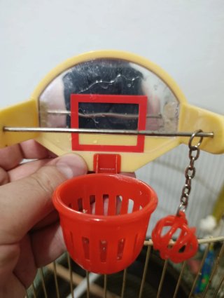Jaula grande para pájaros con accesorios