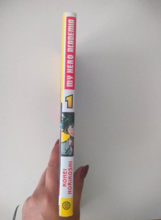 My hero academia 1
