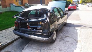 Citroen zx 1994