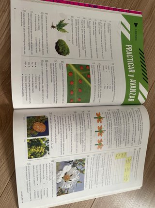 Biología Y Geología 1 Secundaria