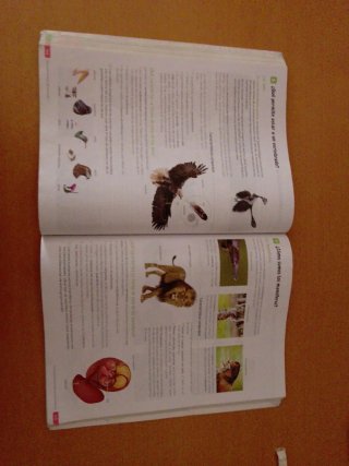 Biología y Geología. 1 Secundaria. Revuela. Cas...