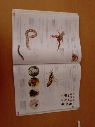 Biología y Geología. 1 Secundaria. Revuela. Cas...