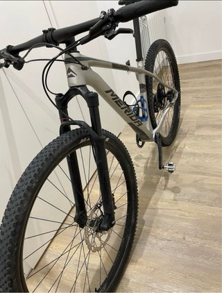 Bicicleta de Montaña