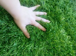 Erba artificiale realistica, vari modelli a disposizione