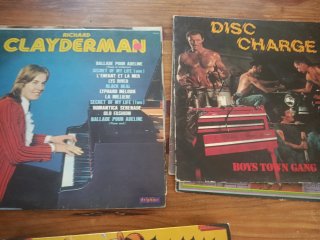 Lote 12 Vinilos variados
