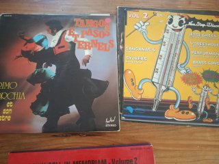 Lote 12 Vinilos variados