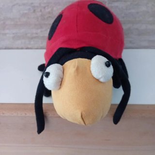 Fermaporta peluche coccinella