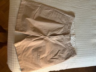Carhartt Shorts Beige