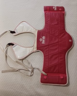Protectores Taekwondo Talla S