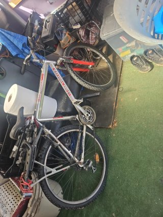 Bicicleta GLOBE TROTTER