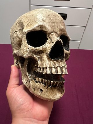 Figura calavera