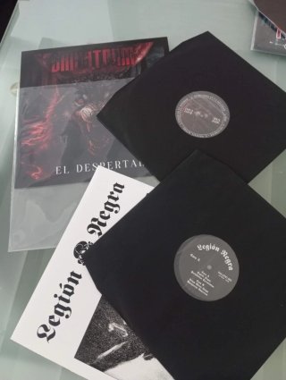 Vinilos Skinstrom y Legión Negra