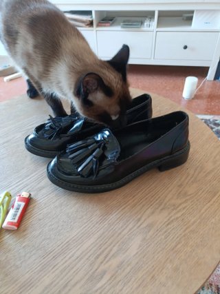 Mocasines Monky Negros
