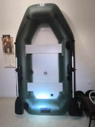 Barca Neumática Verde