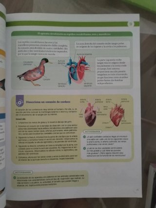 Biología, Geología y Ciencias Ambientales 1 Bac...