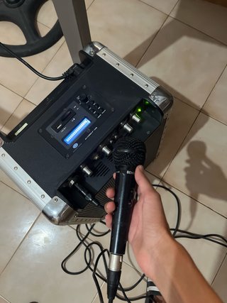 Sistema de audio portátil DJ