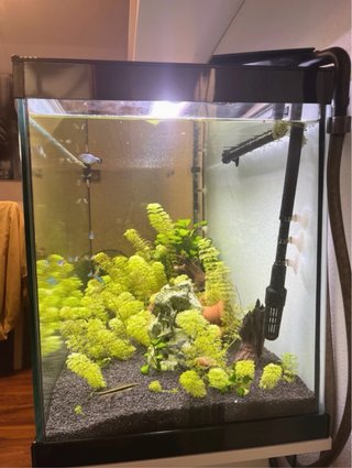 Pack acuario 200L con mueble a medida incluido