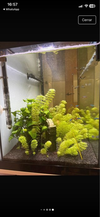 Pack acuario 200L con mueble a medida incluido