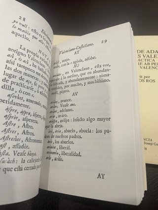 Una aproximación a Carlos Ros y lengua valenciana