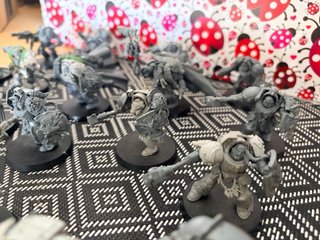 20 Exterminadores Lobo con Conversiones