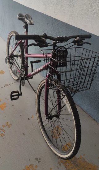 Bicicleta con cesta