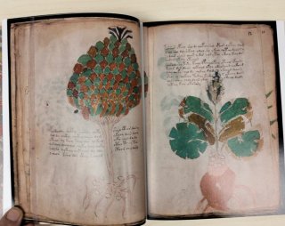 Libro antiguo de colección. Manuscrito Voynich.
