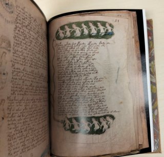 Libro antiguo de colección. Manuscrito Voynich.