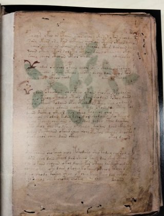 Libro antiguo de colección. Manuscrito Voynich.