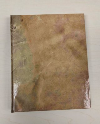 Libro antiguo de colección. Manuscrito Voynich.