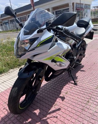 Kawasaki Ninja 125 Moto Deportiva