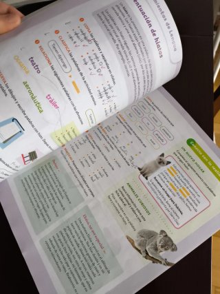 Lengua castellana, 5 Primaria