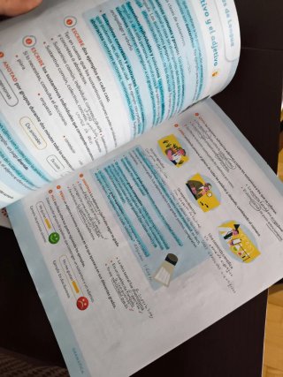 Lengua castellana, 5 Primaria