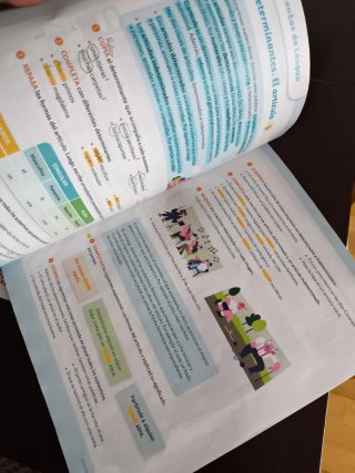 Lengua castellana, 5 Primaria